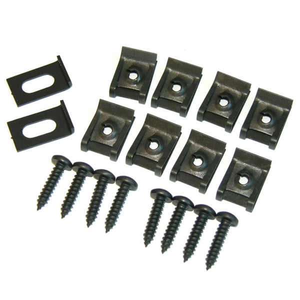 1968-69 Pontiac GTO Hideaway Door Clips, Screws and Stops 18pc