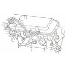 1969-70 Pontiac, GTO, Firebird Spark Plug Wire Loom All V8 Cars Passenger Rear
