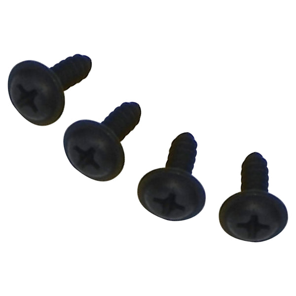 1968 GM A-Body Convertible Auxilary Seal Screws 4pc