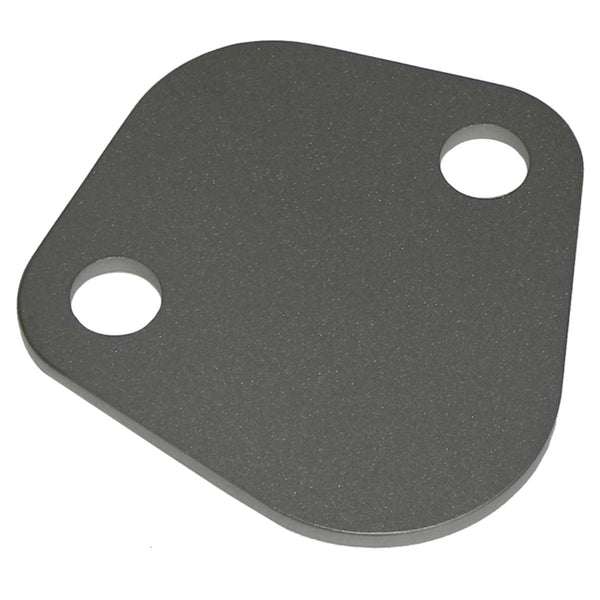 1964-79 Pontiac V8 Stainless Steel Fuel Pump Block Off Plate 1pc