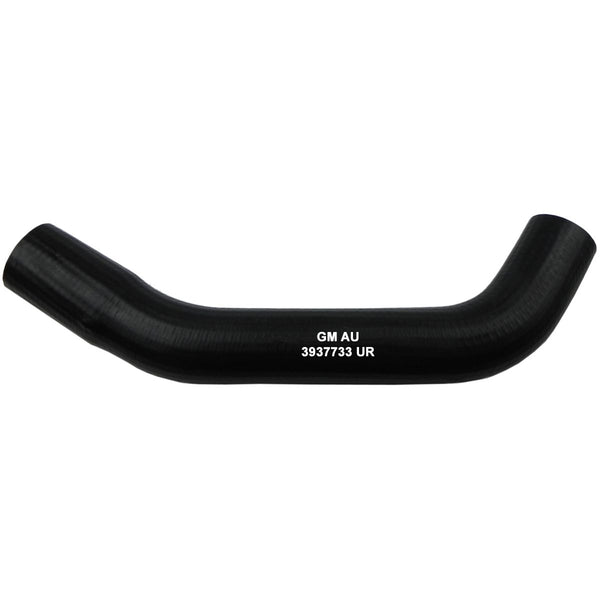 1968 Chevrolet Chevelle/El Camino Big Block Lower Radiator Hose With Lettering & Spring 1pc
