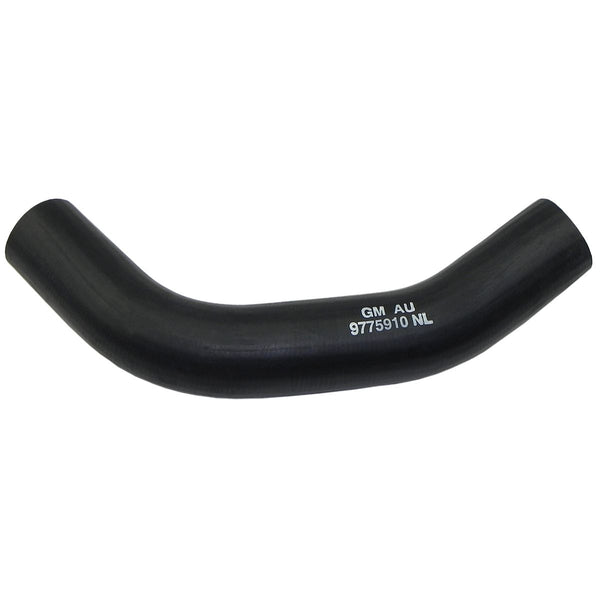 1964 Pontiac GTO Lower Radiator Hose (All)