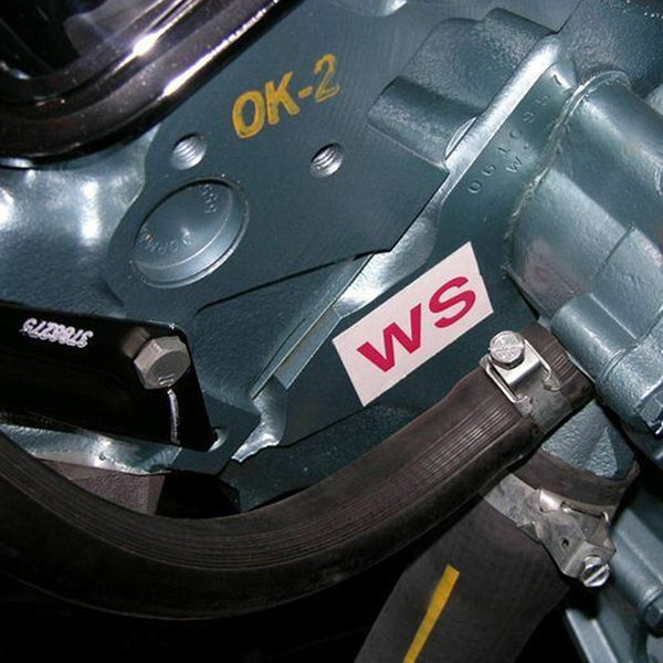 1965-70, 1972-73 Pontiac GTO/Firebird WS Engine Block Decal, Each